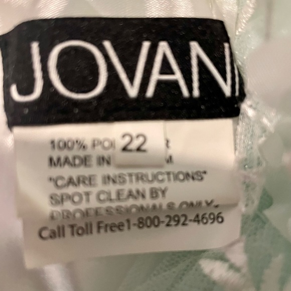 Plus Size Prom Dress - Picture 5 of 6